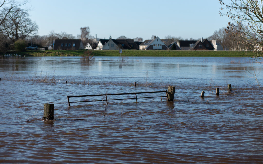 Gemeenschapskracht: Verbeelding verbindt